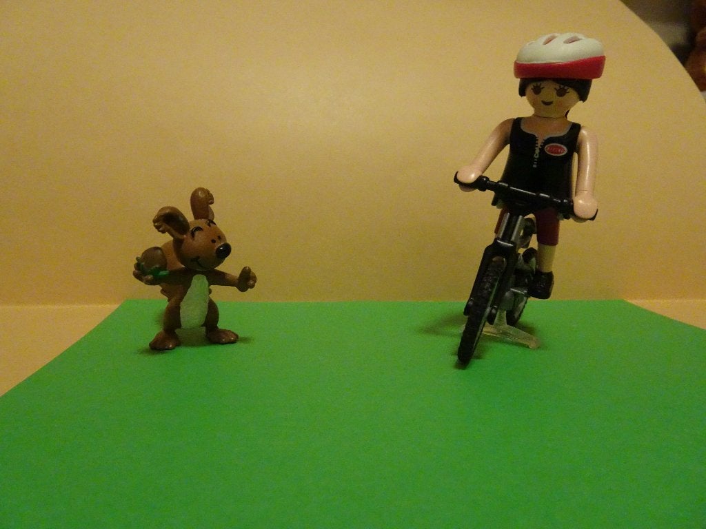 Playmobil - L'improbable belle rencontre avec un écureuil, Enlèvement ou Envoi, Comme neuf, Kit complet, Figurines