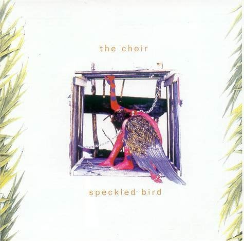 SALE--CD THE CHOIR - Speckled bird, Verzenden, Gospel