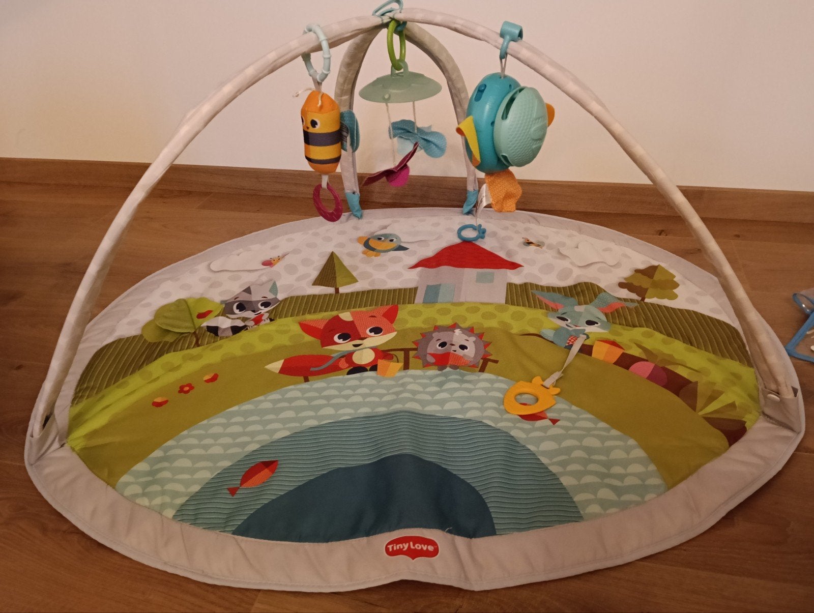 Tapis de jeu Tiny Love avec arcades, Enfants & Bébés, Enlèvement, Comme neuf