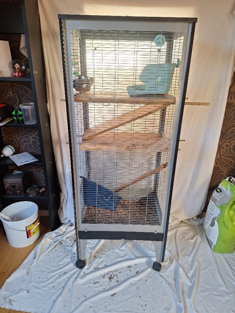 Hoge vogelkooi of rattenkooi, Dieren en Toebehoren, Ophalen, Gebruikt, Metaal, Vogelkooi