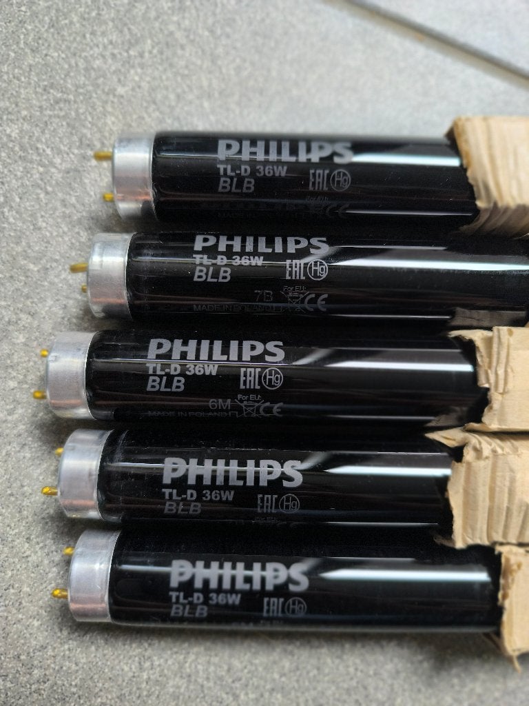 5 ampoules Philips TL-D 36 W (lumière noire/UV-A) NEUVES, Maison & Meubles, Lampes | Lampes en vrac, Autres couleurs de lumière
