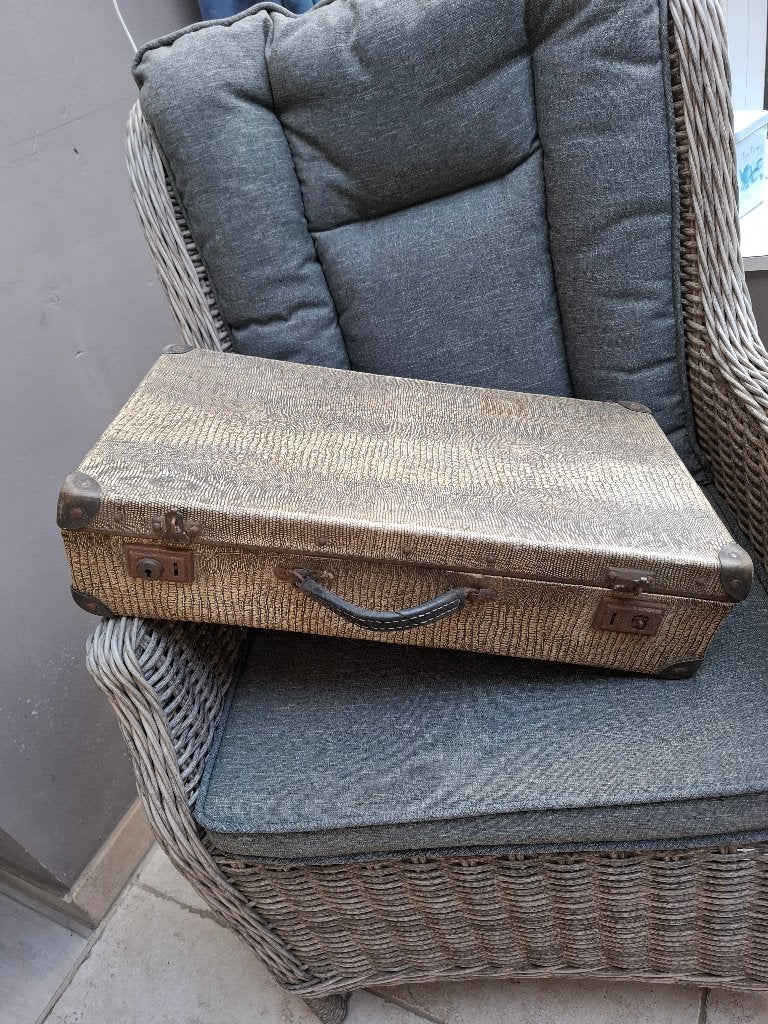 Vintage reiskoffer met krokodillenprint, Ophalen