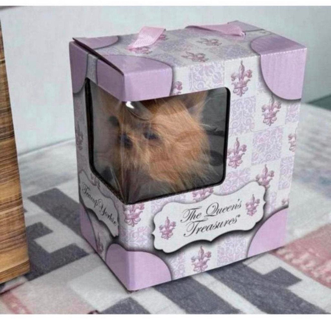 3 poupées chien chat The Queen's Treasures Adopt Me - Queens, Enlèvement ou Envoi, Neuf