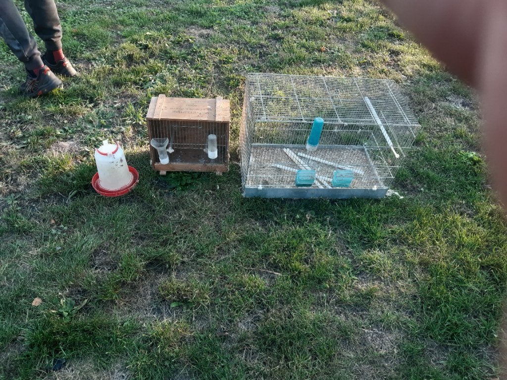 Cage canaris, Animaux & Accessoires, Enlèvement, Utilisé