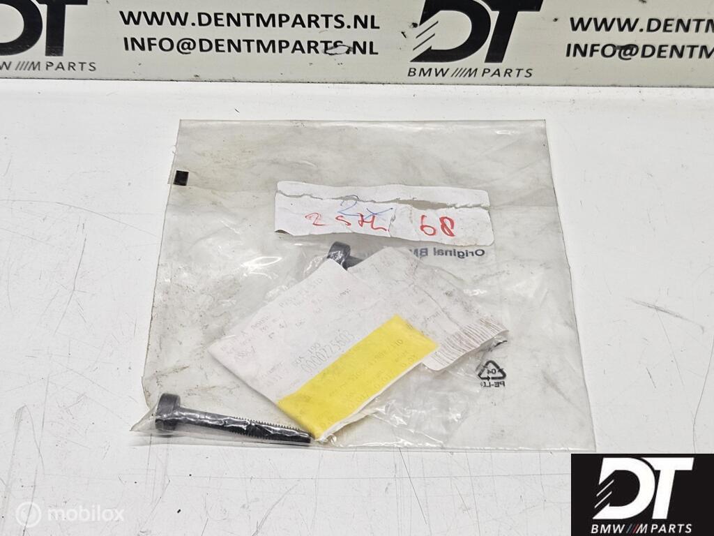 2x torx bout ketting M6X48 BMW N63 S63 S68 BMW 11317605190, Auto-onderdelen, Gebruikt, Ophalen of Verzenden