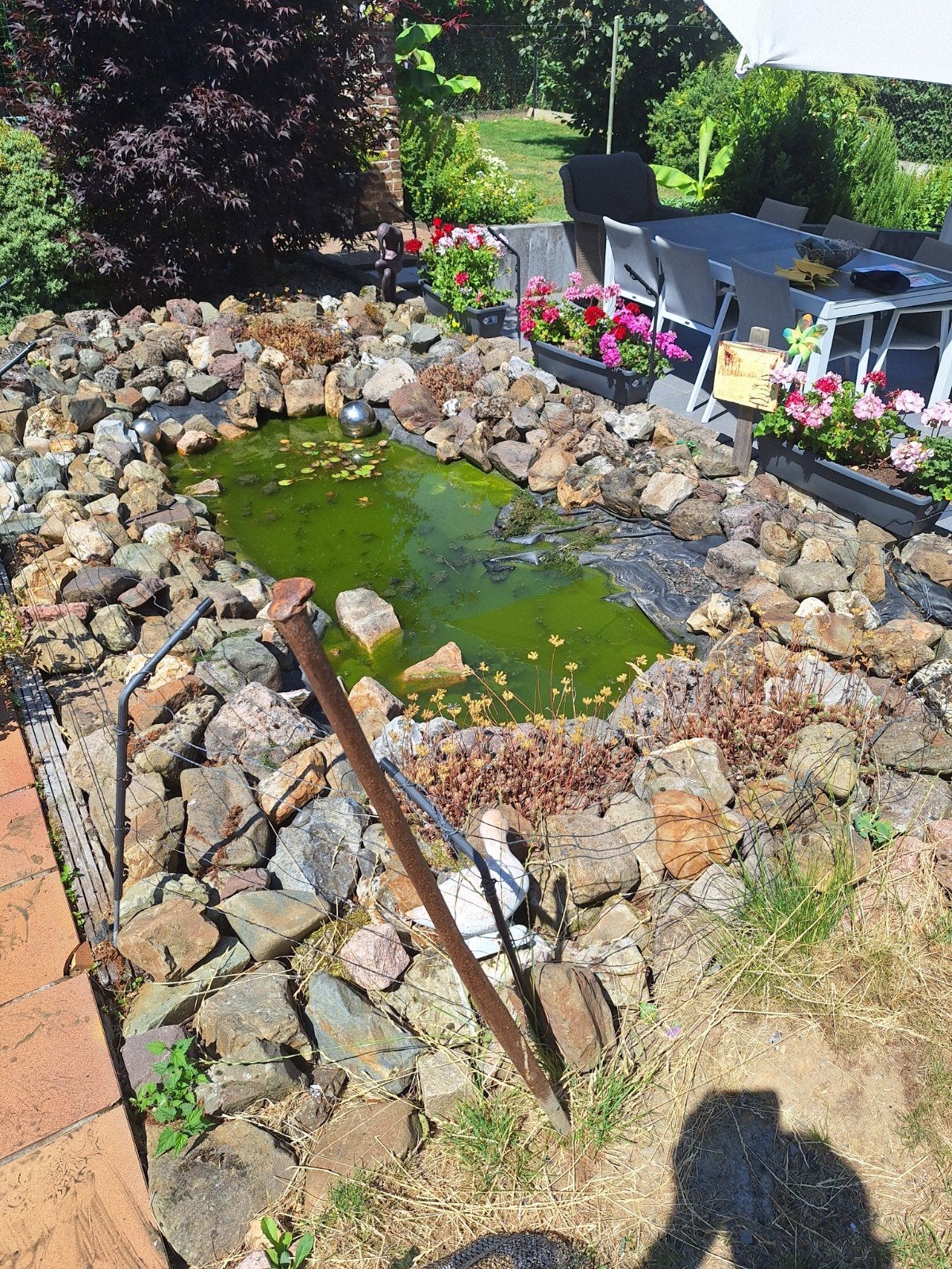 Rotsstenen, Tuin en Terras, Vijvers, Ophalen