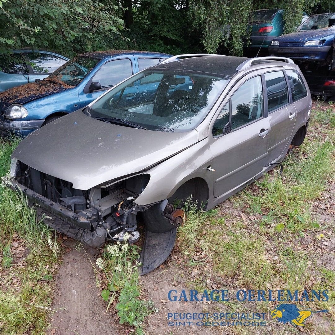 peugeot 307 sw 1.6 16v voor onderdelen, Auto-onderdelen, Overige Auto-onderdelen, Peugeot, Gebruikt, ARN erkend, Ophalen of Verzenden
