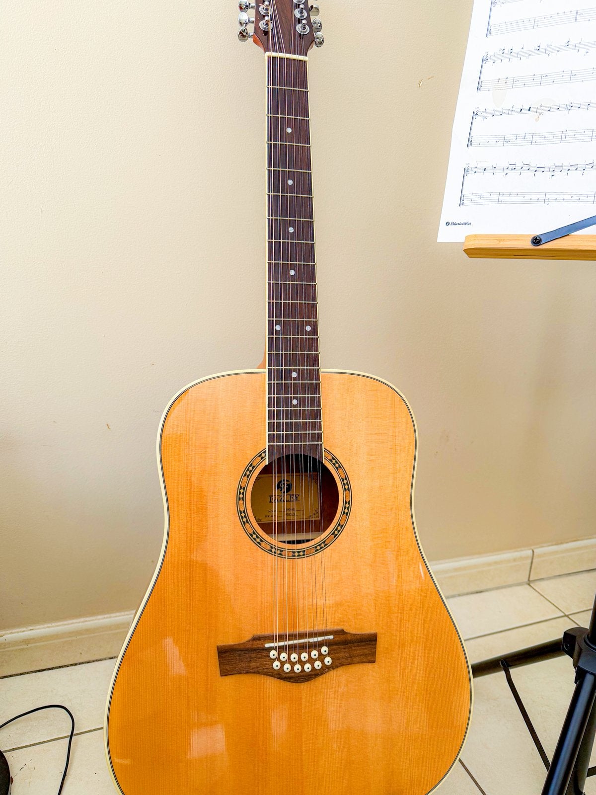 12-snarige akoestische gitaar, Ophalen, Nieuw, Resonator- of Dobrogitaar, 12-snarig