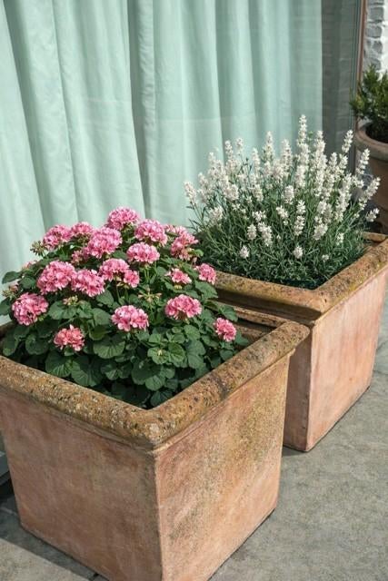Grote Toscaanse Terracotta plantenbakken - 50 x 50 cm, Tuin en Terras, Bloembakken en Plantenbakken, Gebruikt, Overige materialen
