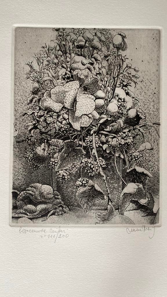Ets besneeuwd van Renaat Veris obv Dodoens, Antiek en Kunst, Kunst | Etsen en Gravures, Ets, Genummerd, Gesigneerd, Origineel