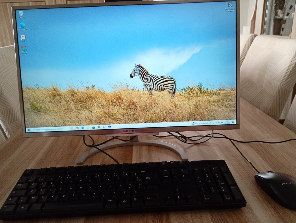 Ordinateur bureau MEDION tout en un, Enlèvement, Utilisé, 8 GB, SSD