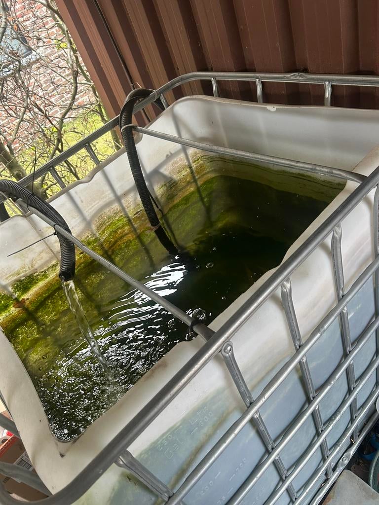 Kweek bak vis, Tuin en Terras, Ophalen, Zo goed als nieuw