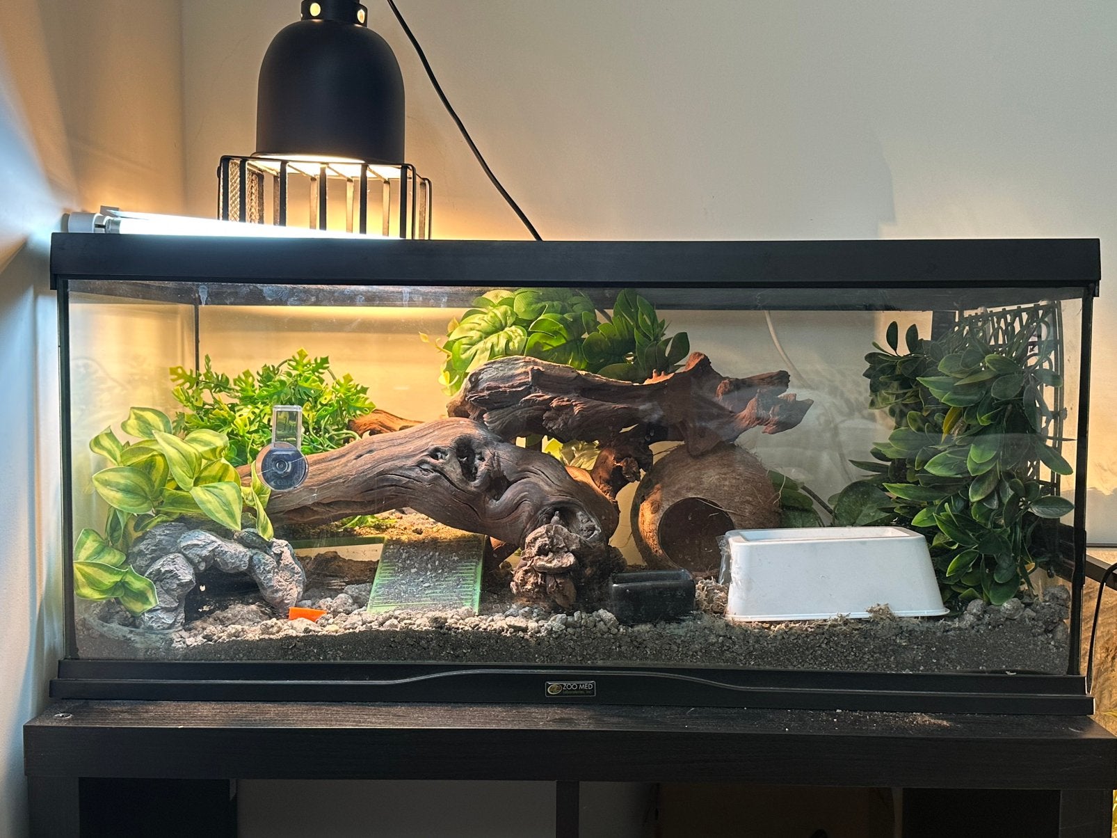 Terrarium ZONDER deco, Enlèvement, Utilisé, Terrarium ou Paludarium