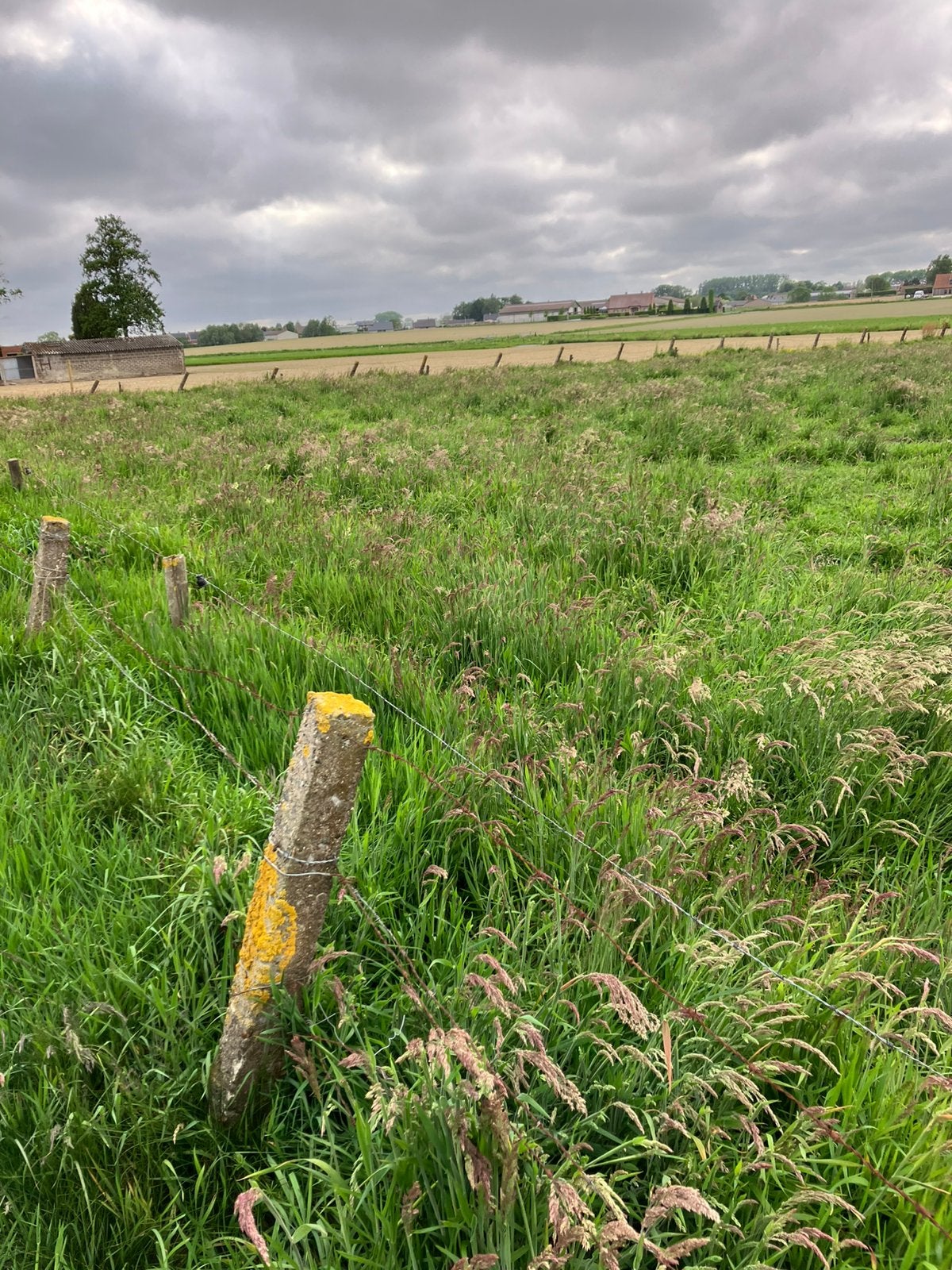 Weide te koop in Pittem, Ophalen