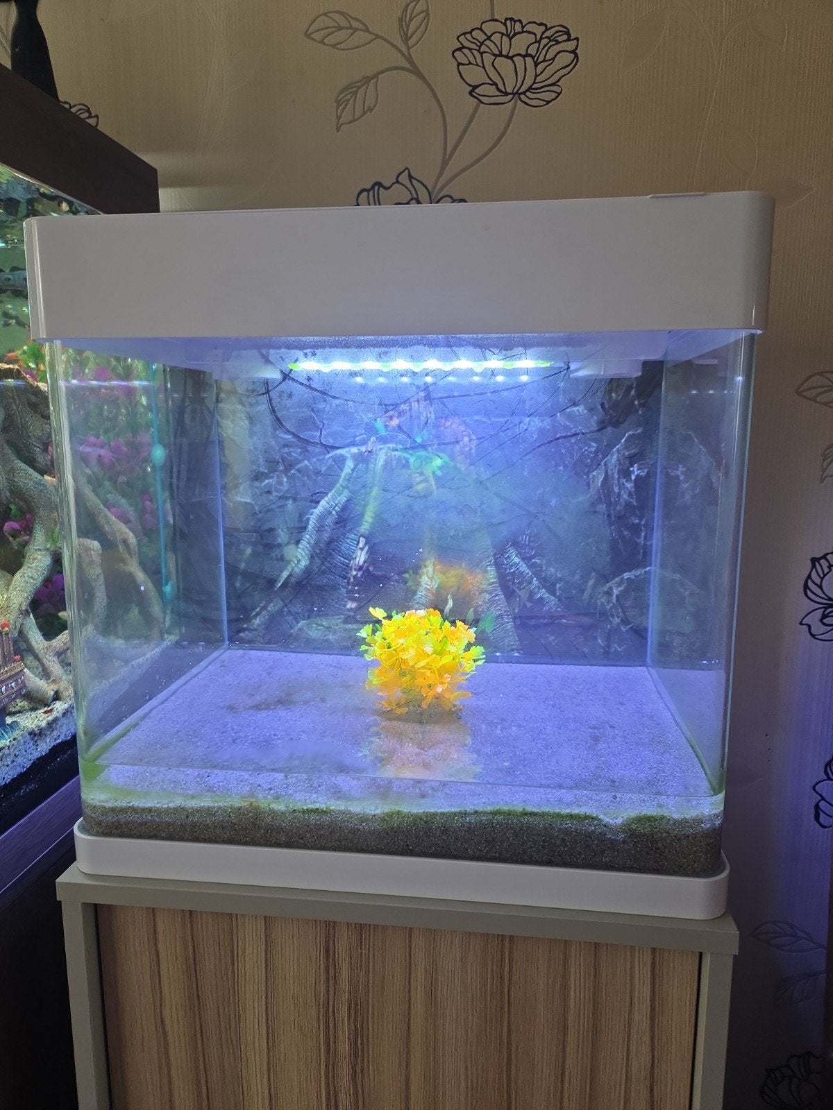 te koop aquarium 1maand oud met garantie by gsm 0497070141, Dieren en Toebehoren, Ophalen, Nieuw, Leeg aquarium, Superfish
