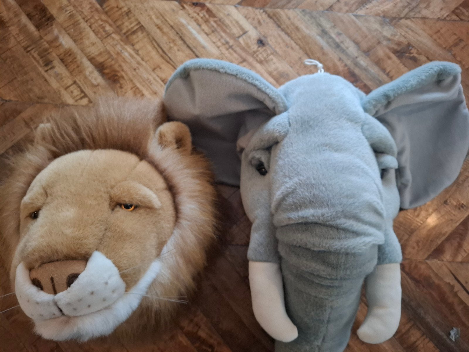 dierenkoppen pluche, Ophalen