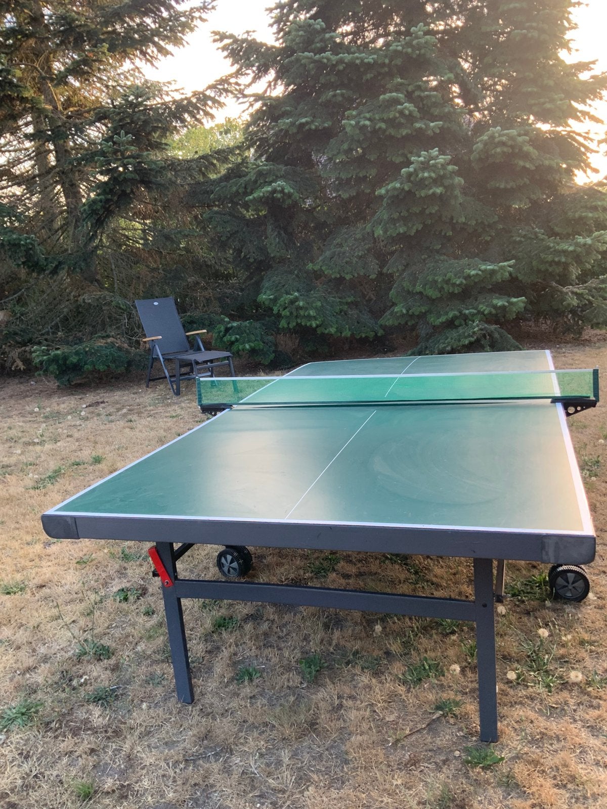 Pingpongtafel, Sports & Fitness, Ping-pong, Enlèvement, Utilisé, Table d'intérieur, Pliante