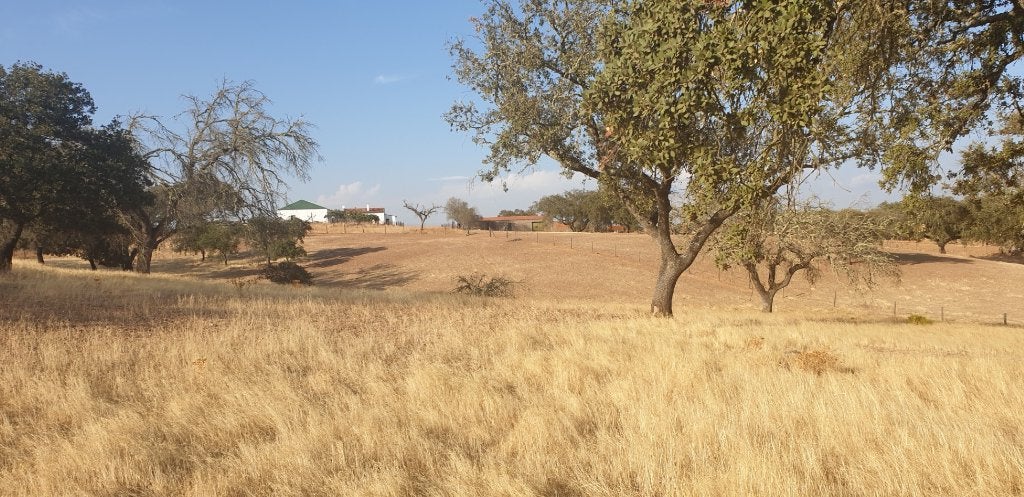 Landhuis 5,3ha omheind 2 garages werkplaats stal H20 bron, Immo, Campagne, Portugal, 298 m², Ventes sans courtier