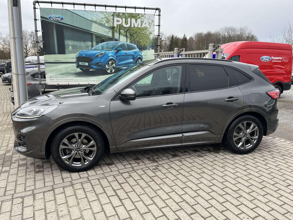 Ford Kuga EcoBlue ST-Line X (année de construction 2021), Autos, Argent ou Gris, Euro 6, Boîte manuelle, Alcantara