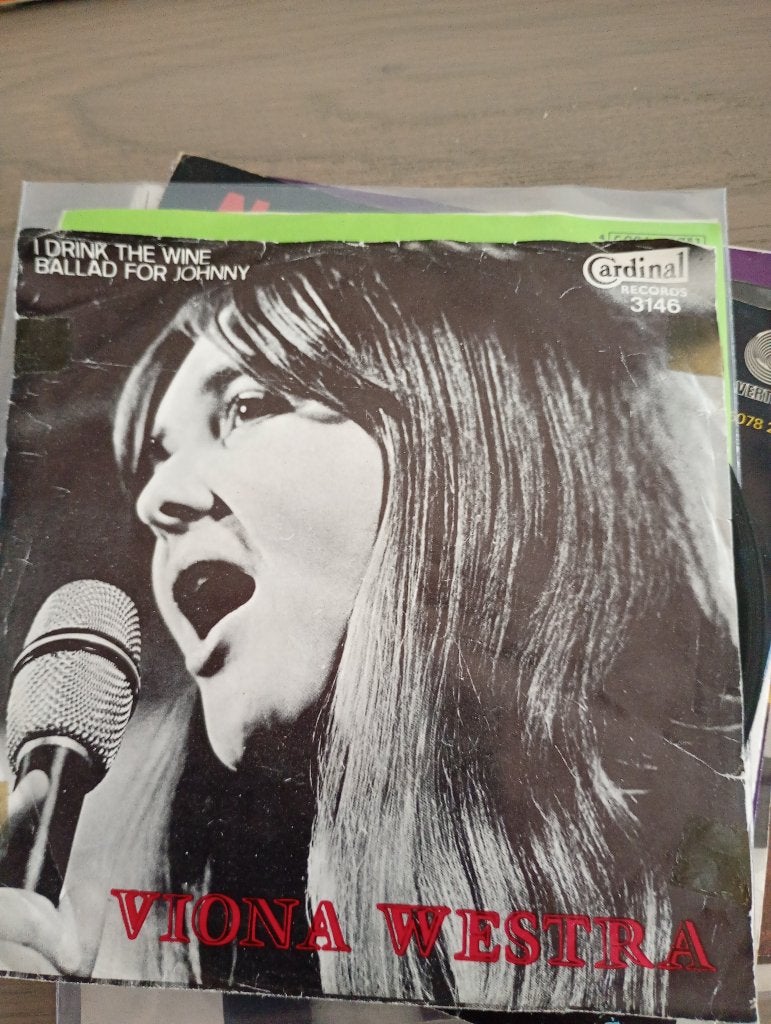 Viona Mestra - I drink the wine, Gebruikt, Verzenden, 7 inch, Fotohoes