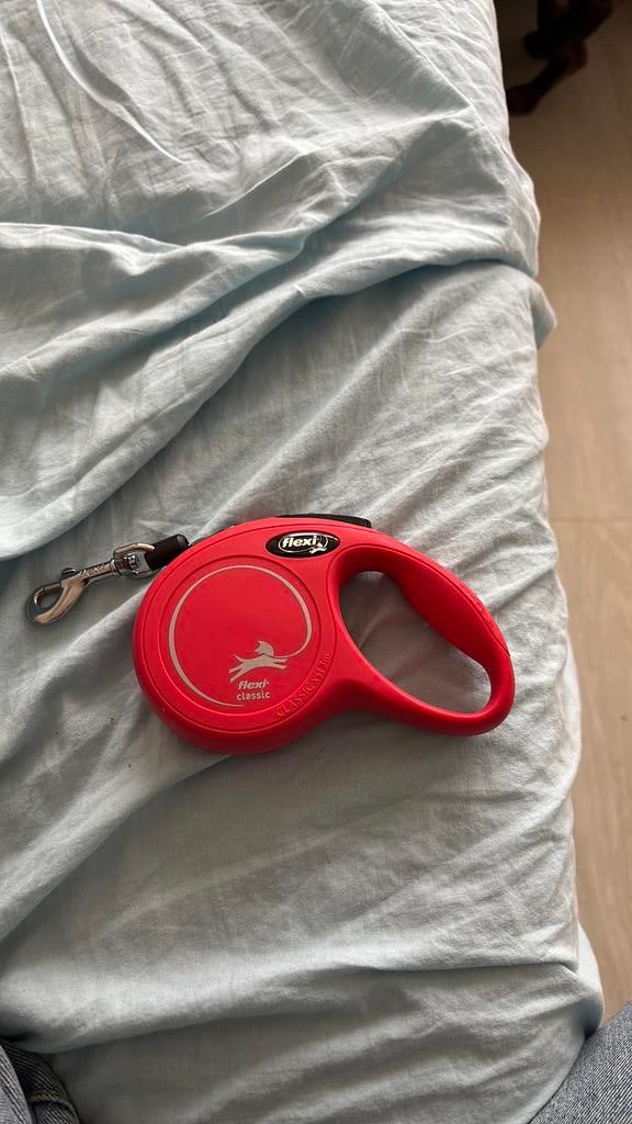 Uitrekbare leiband 3 m, Dieren en Toebehoren, Ophalen, Zo goed als nieuw, Hondenriem