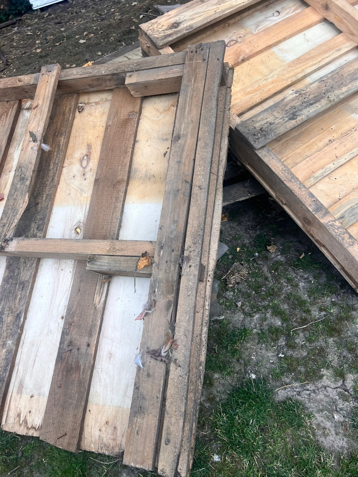 Brand hout, Enlèvement, Comme neuf