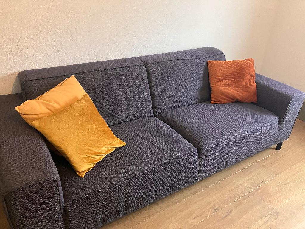 3-zit zetel Richter Young Design, 200 à 250 cm, Banc droit, Enlèvement, Utilisé