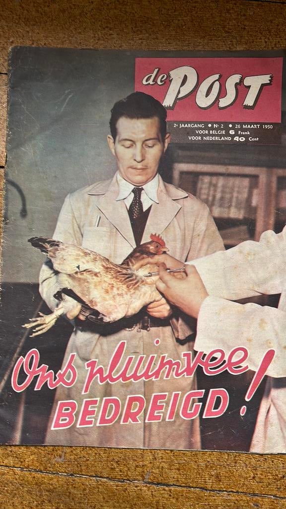 5 tijdschriften de Post uit 1950, Ophalen, 1940 tot 1960, Tijdschrift