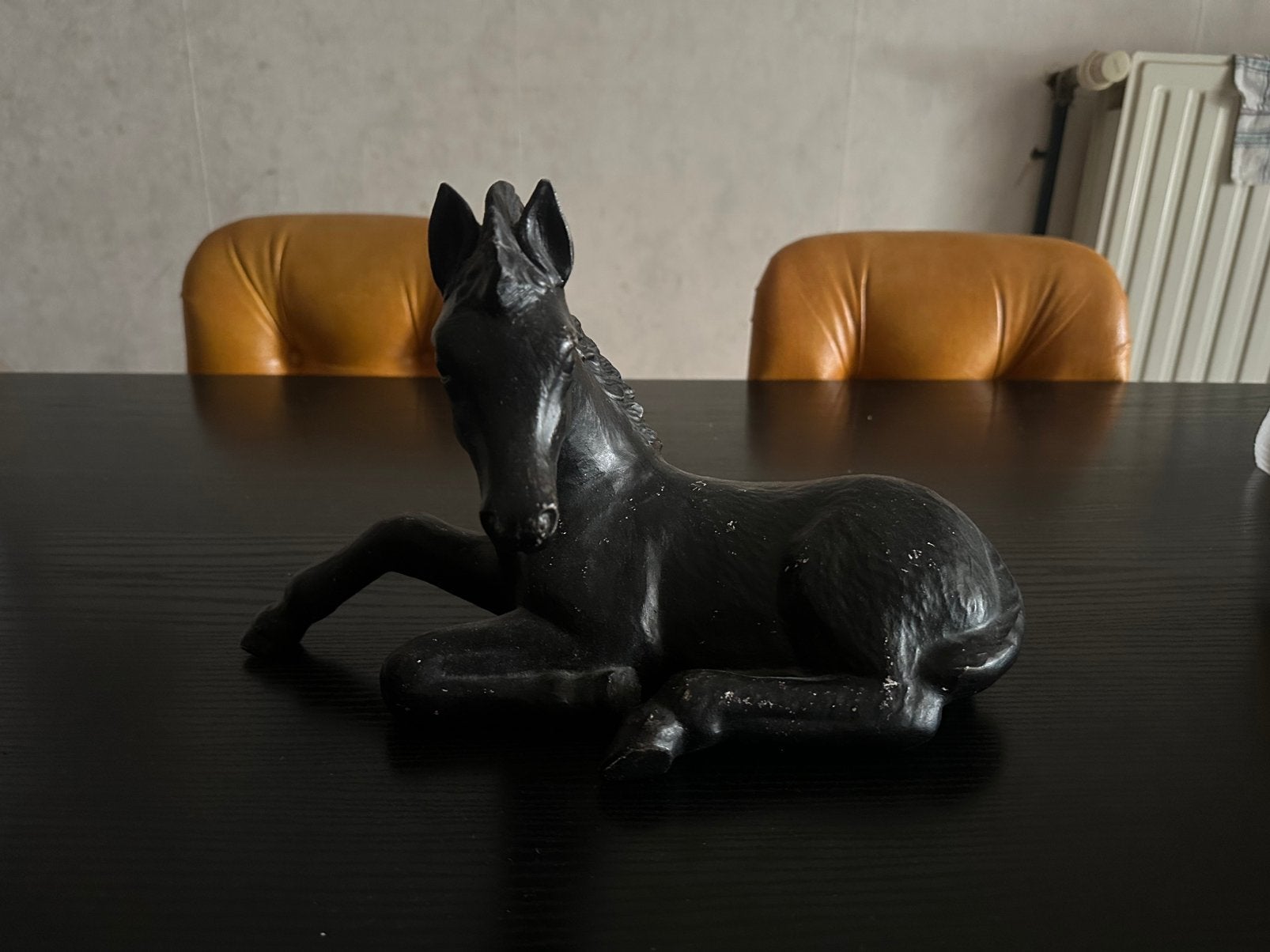 Image de poulain couché, Enlèvement, Utilisé, Animal