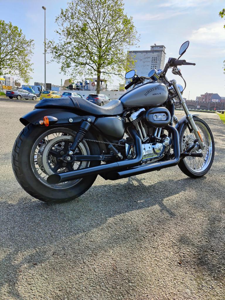 Harley Davidson sportster custom low, Permis Moto A, Occasion, Plus de 35 kW, Chopper