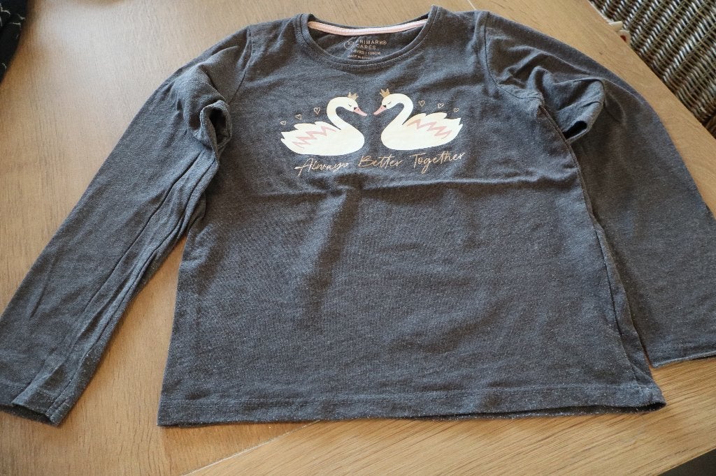 T_SHIRT, Kinderen en Baby's, Kinderkleding | Maat 122, Ophalen, Gebruikt, Meisje, Shirt of Longsleeve
