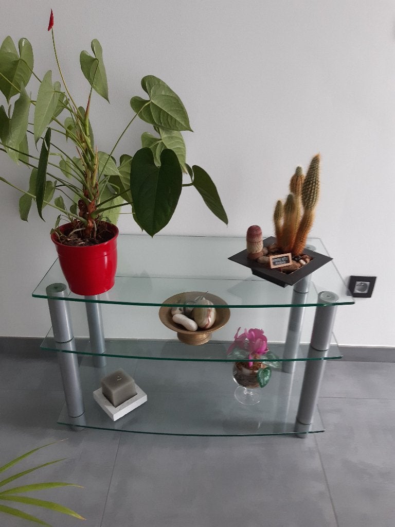 Glazen kast, Ophalen of Verzenden, Gebruikt, Glas