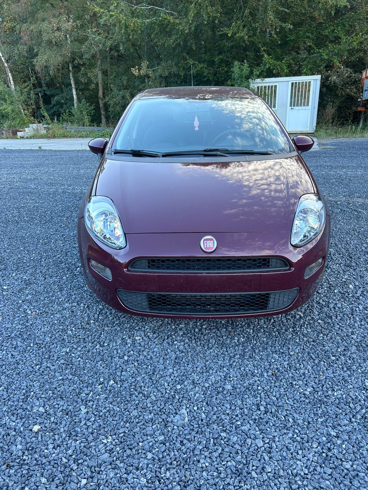 Fiat punto evo, Autos, Euro 5, Achat, Boîte manuelle, Autres couleurs