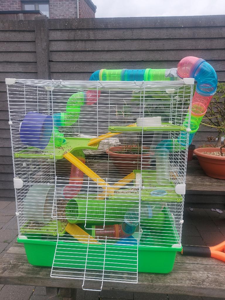 Grote hamsterkooi + 2 hamster ballen, Dieren en Toebehoren, Ophalen, Kooi, Gebruikt, 60 tot 90 cm