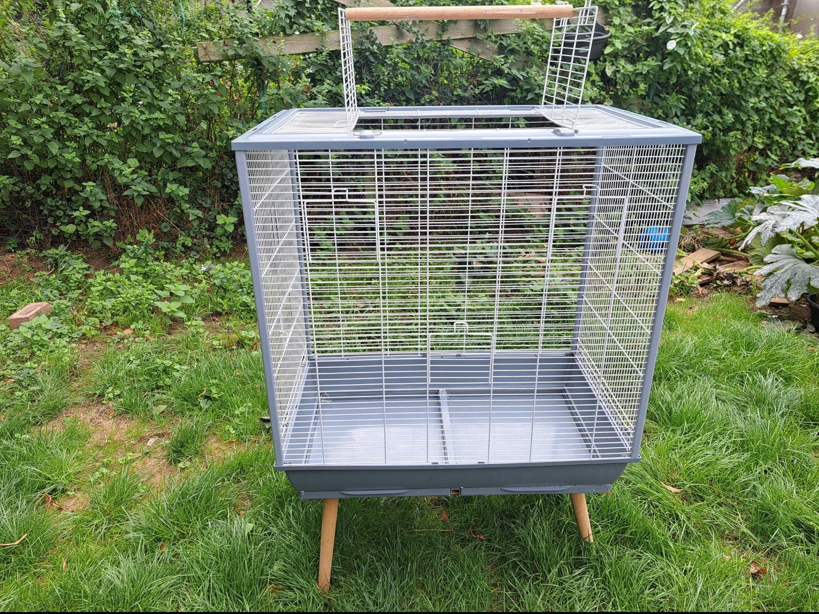 cage pour oiseaux, Enlèvement