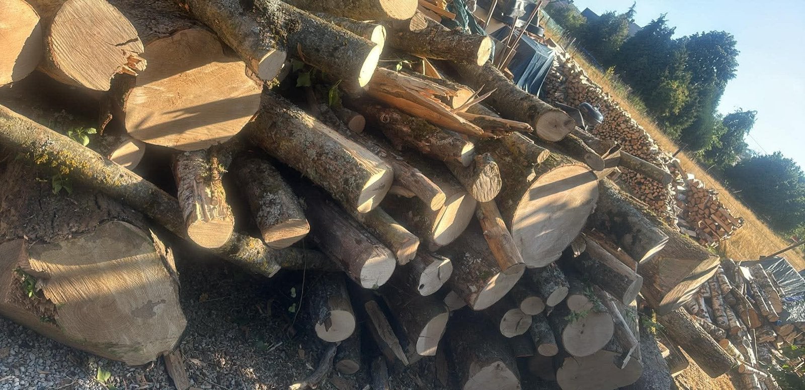 Bois de chauffage sec en 30 40 et 50 cm, Enlèvement