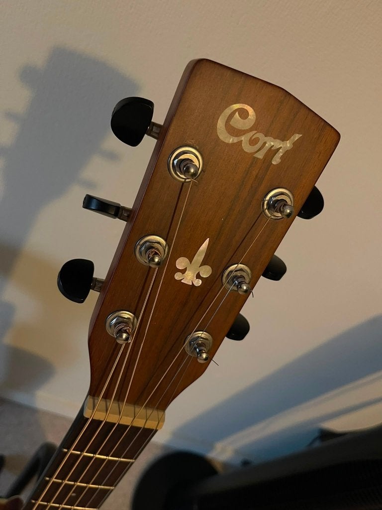 Dreadnought maat Cort Earth E100Ns, Muziek en Instrumenten, Ophalen, Gebruikt, Western- of Steelstringgitaar
