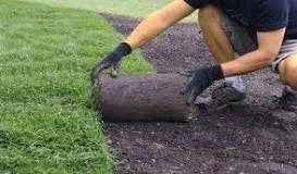 Pose de gazon en rouleau – Pelouse instantanée, Jardin & Terrasse, Gazon & Gazon artificiel, Enlèvement, Neuf, 20 m² ou plus, Herbe