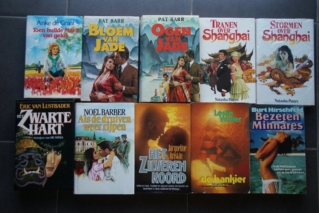 Lot van 10 boeken Romans: €2 per stuk of €10 voor de 10, Boeken, Ophalen of Verzenden, Zo goed als nieuw