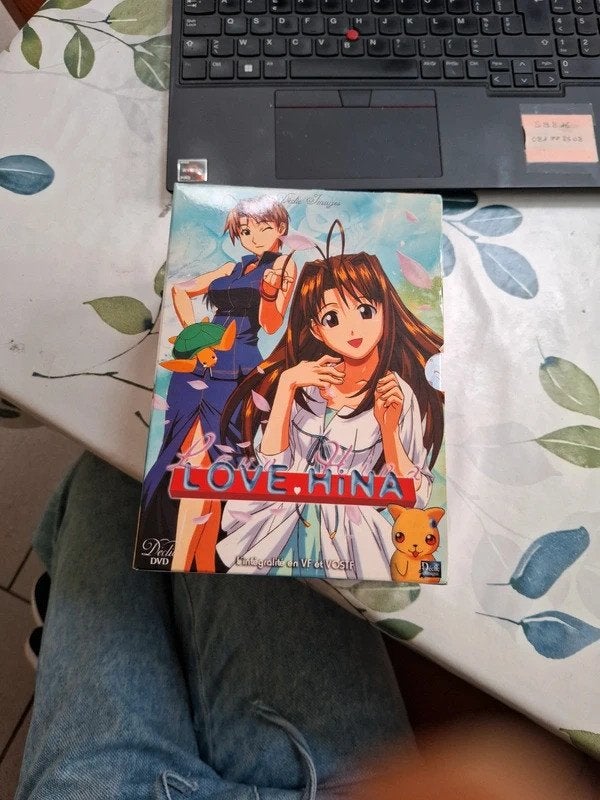 Coffret intégral Love Hina, CD & DVD, Anime (japonais), Enlèvement ou Envoi, Animation, À partir de 16 ans