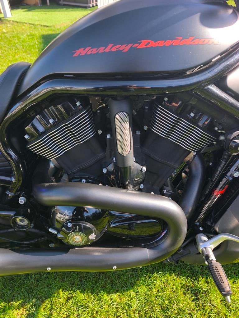 Harley Davidson Night Rod Spécial, Motos, Particulier, Neuf