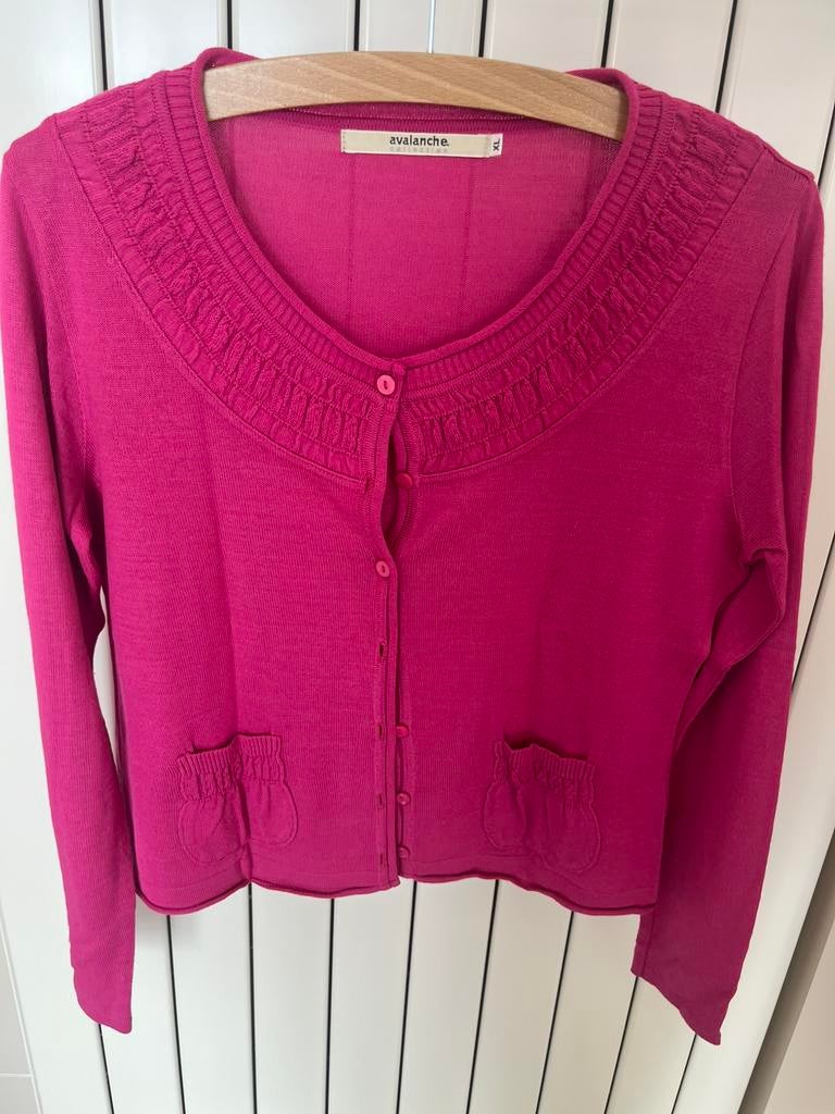 Gillet Avalanche, Ophalen, Zo goed als nieuw, Maat 46/48 (XL) of groter, Roze