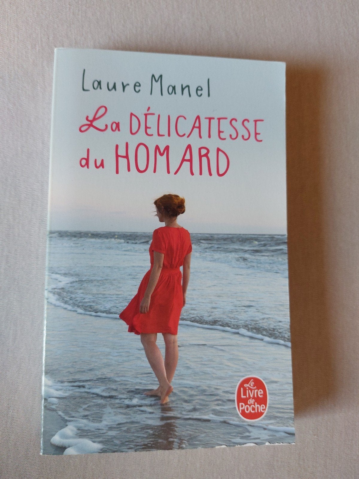 La délicatesse du homard de Laure Manel, Enlèvement, Utilisé