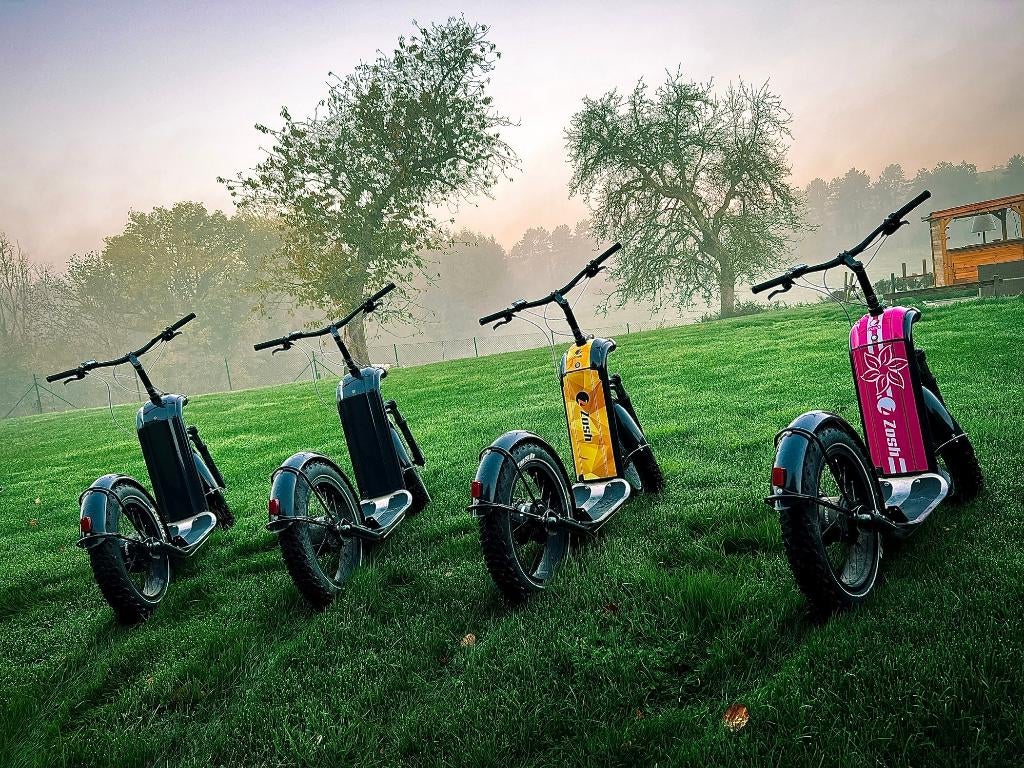 Trottinette Zosh tout terrain 25 km/h (3 de disponible), Enlèvement, Utilisé, Step électrique (E-scooter), Zosh