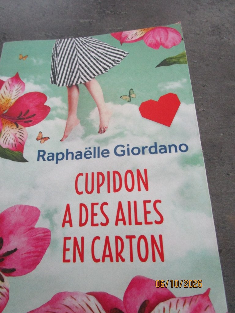 Raphaëlle Giordano à petit prix!!, Ophalen, Zo goed als nieuw, Raphaëlle Giordano.