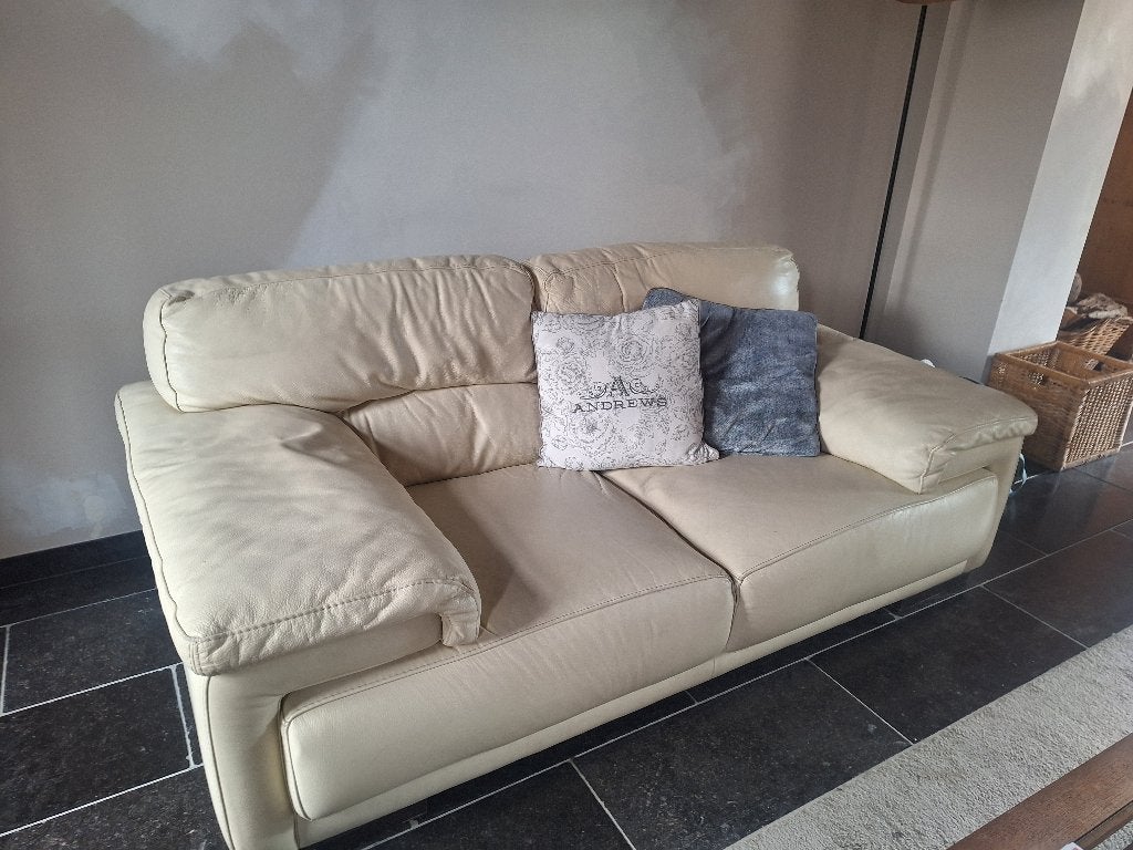 Salon, Enlèvement, Utilisé, Cuir