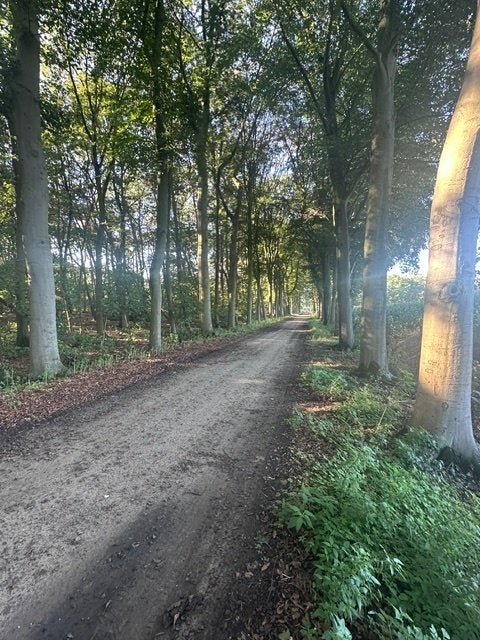 bouwgrond voor recreatie, Meerhout, Verkoop zonder makelaar, 1500 m² of meer