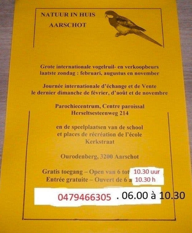 vogelbeurs Aarschot exoten, Dieren en Toebehoren, Meerdere dieren, Tropenvogel, Geringd