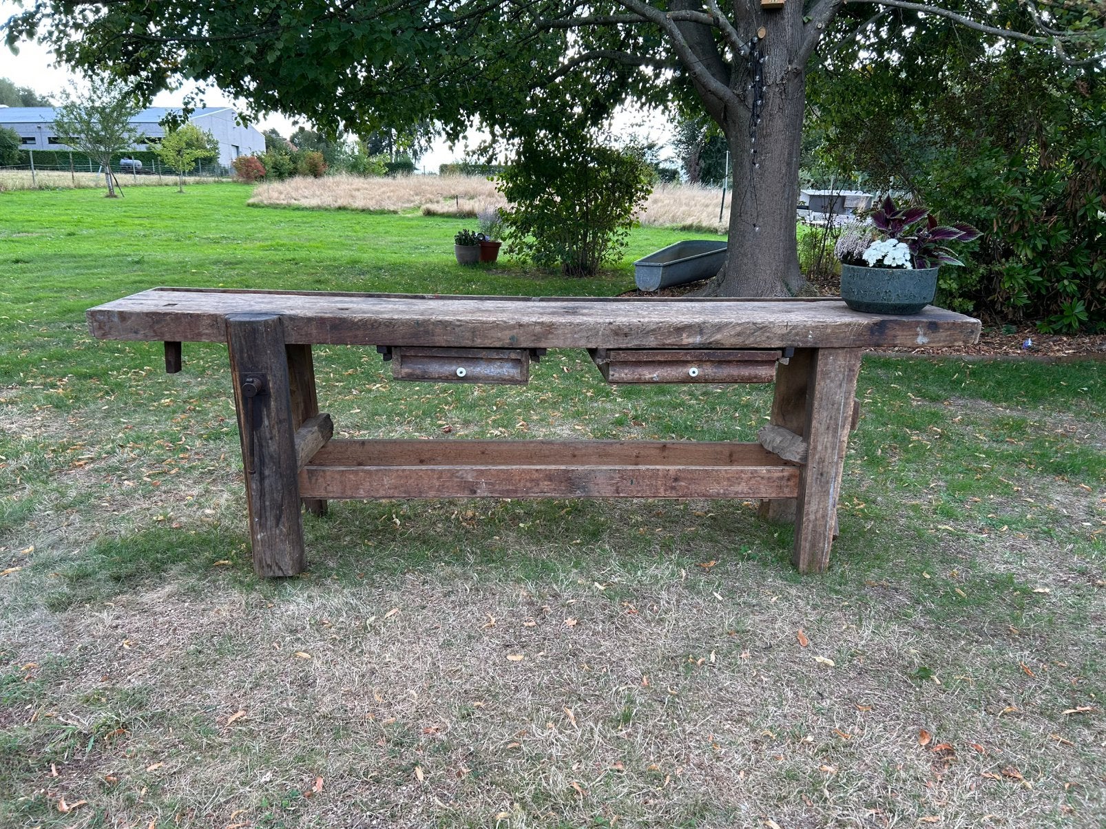 Ancien établi, Enlèvement, Utilisé, Moins de 70 cm, Étau