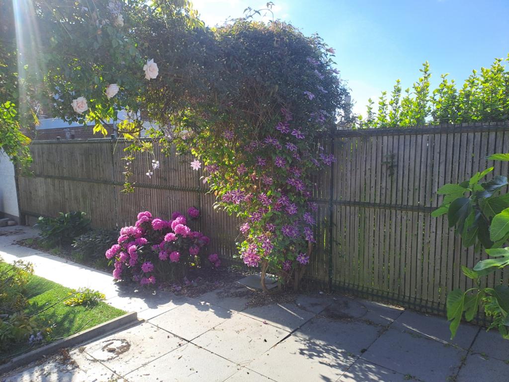 Tuin afsluiting, Enlèvement